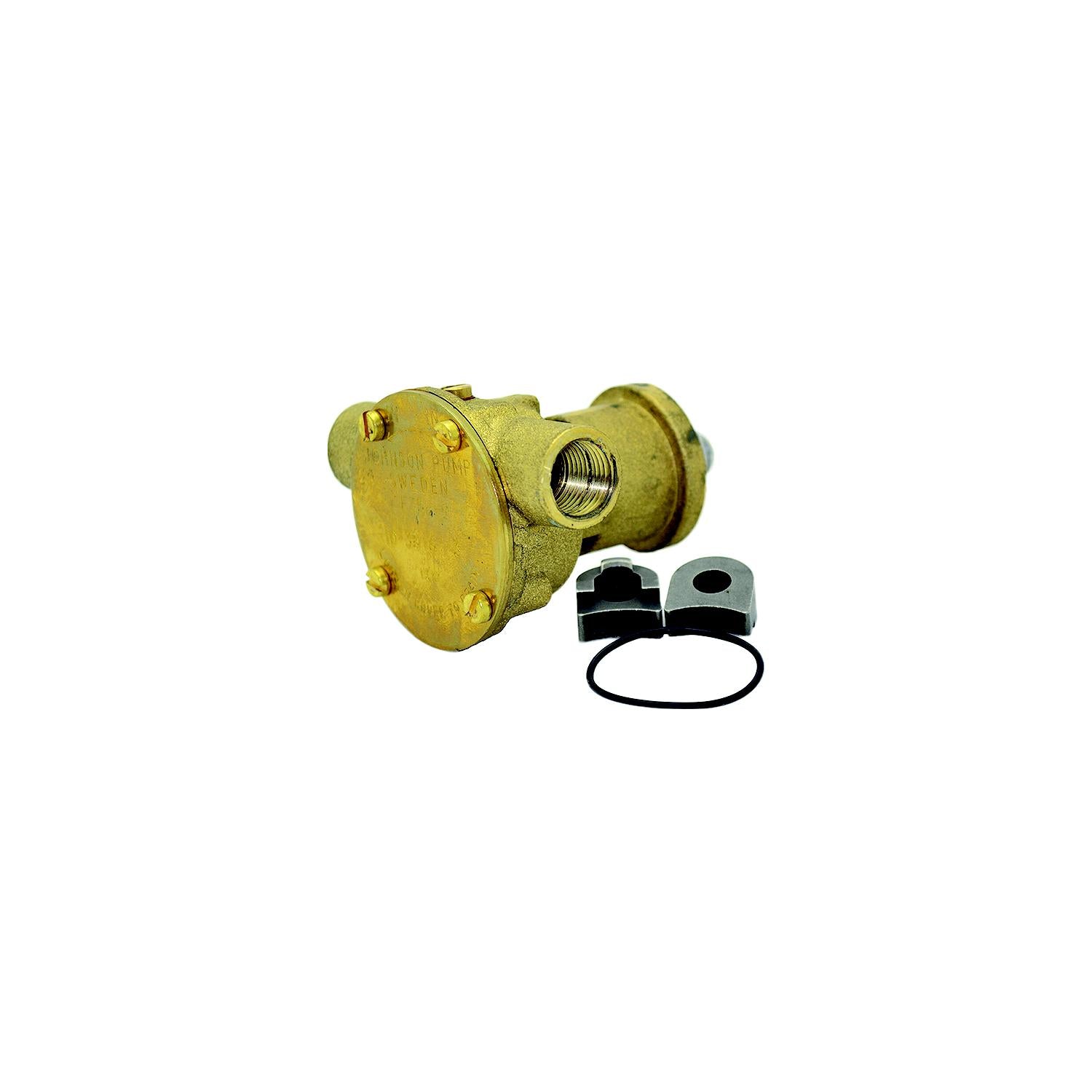 Johnson Pump 10-35187-3 10351873 Bronze Engine Cooling F35B-9, OEM for Westerbeke