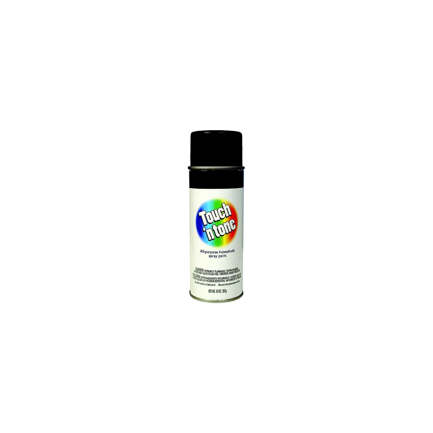 A P Products 003-55276 Dap Touch 'n tone Spray Paint