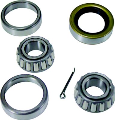 Dutton Lainson 21799 Bearing Set 1