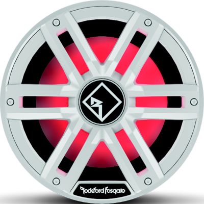 Rockford Fosgate M2D4-10I M2D410I DVC 2Î© Color Optixâ„¢ Infinite Baffle Marine Subwoofer, 10