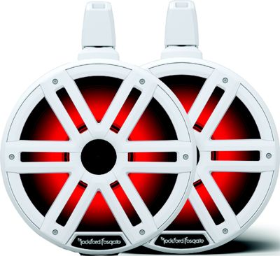 Rockford Fosgate M2WL-10H M2WL10H Color Optixâ„¢ 2-Way Horn Loaded Wake Tower Speakers, 10