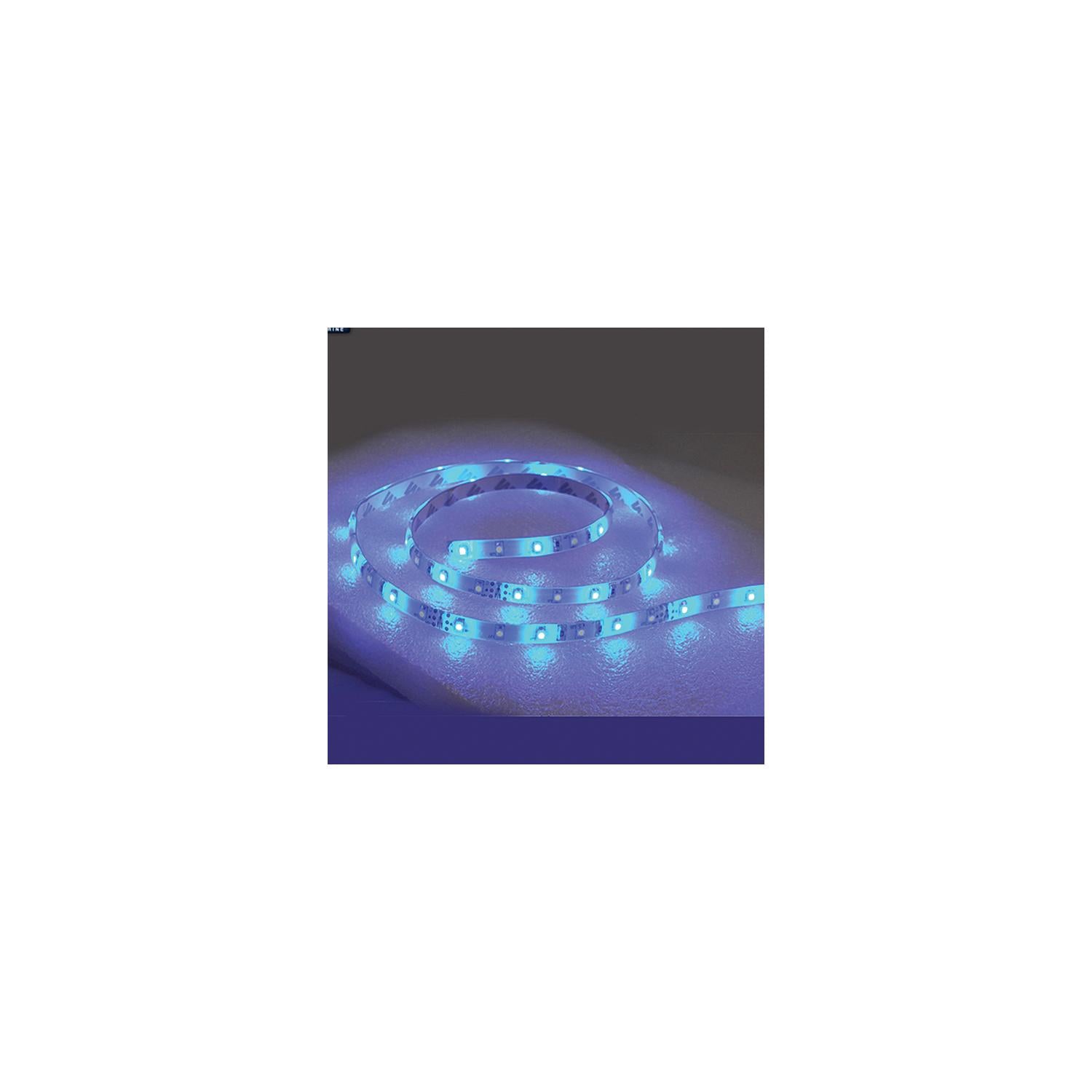 T-H Marine LEDSM20B LED Flat Rope Lights