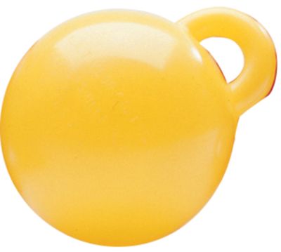 Taylor Made Products 145 Personal Watercraft Buoy 8
