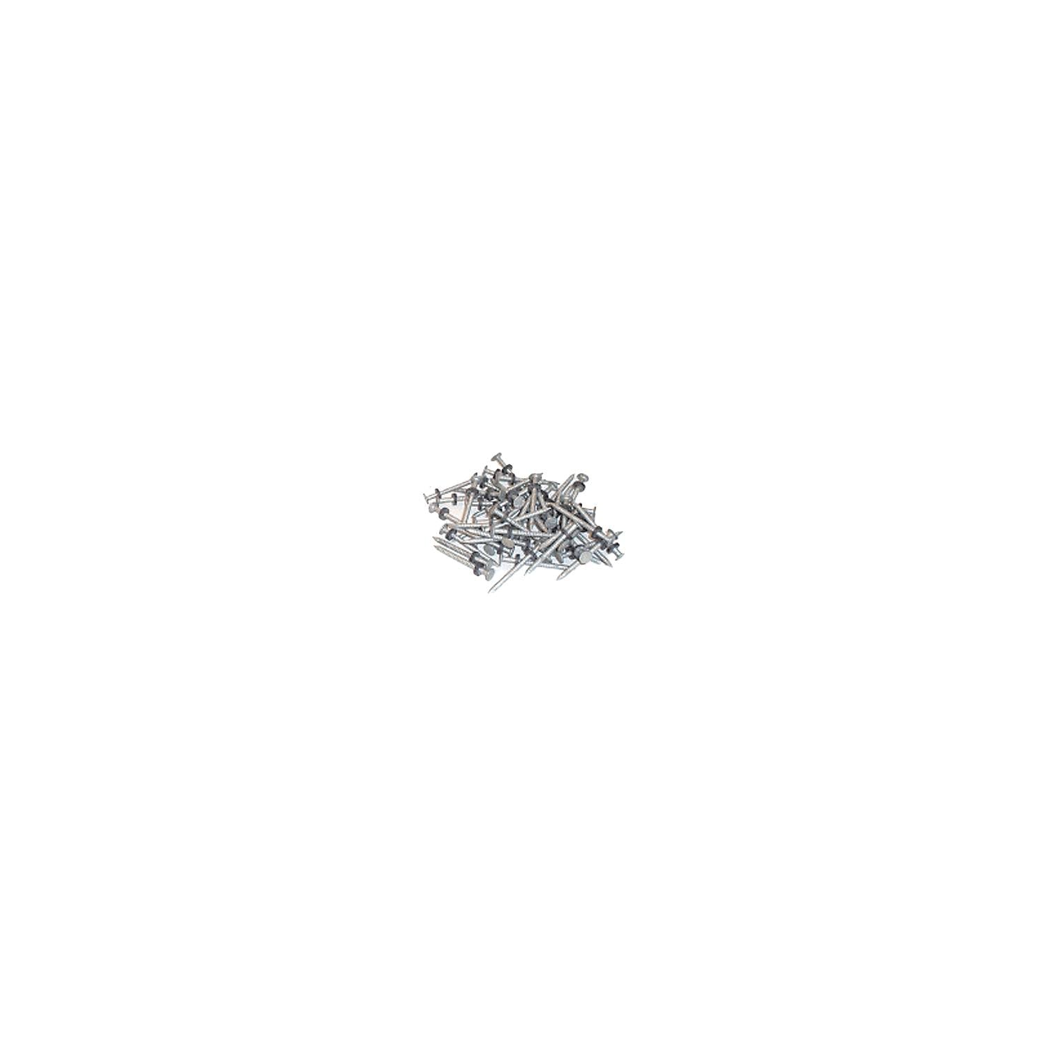 Taylor Made Products 96028 Galvanized #6 Nails w/Washers 1/8# 12/Cd