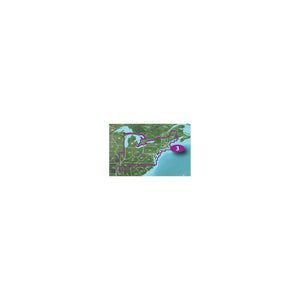 Garmin 010-C0708-00 Vision Card, Norfolk-Charleston