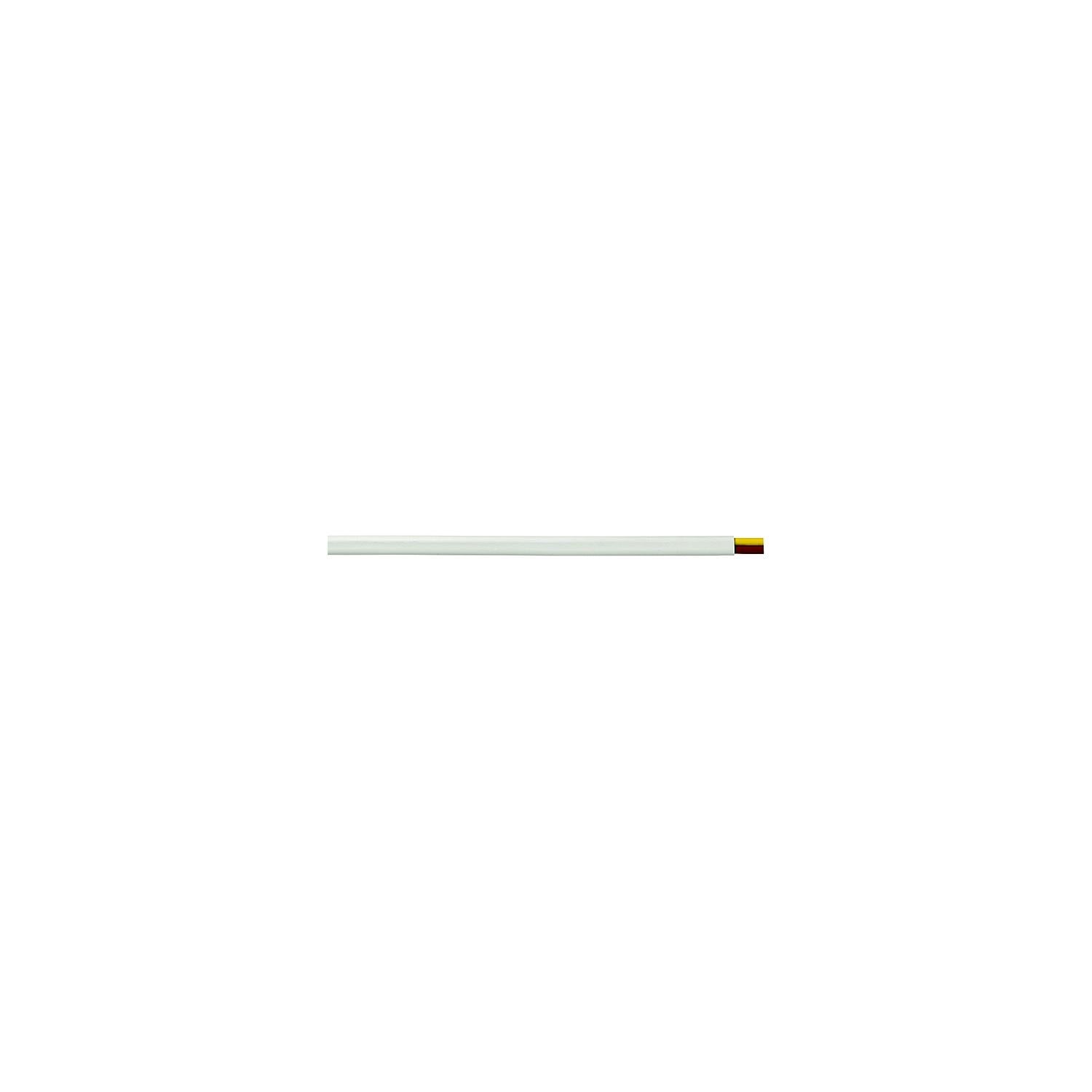 Cobra Wire and Cable B7W12T20250FT Tinned Copper Flat Duplex Safety Wire, 12/2, 250', White
