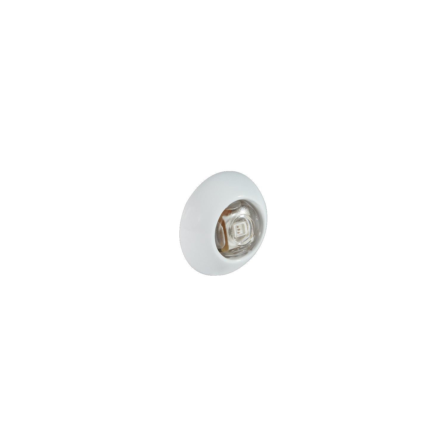 Lumitec 101052 Exuma Direct/360 Degree Courtesy Light, White Case, LEDs