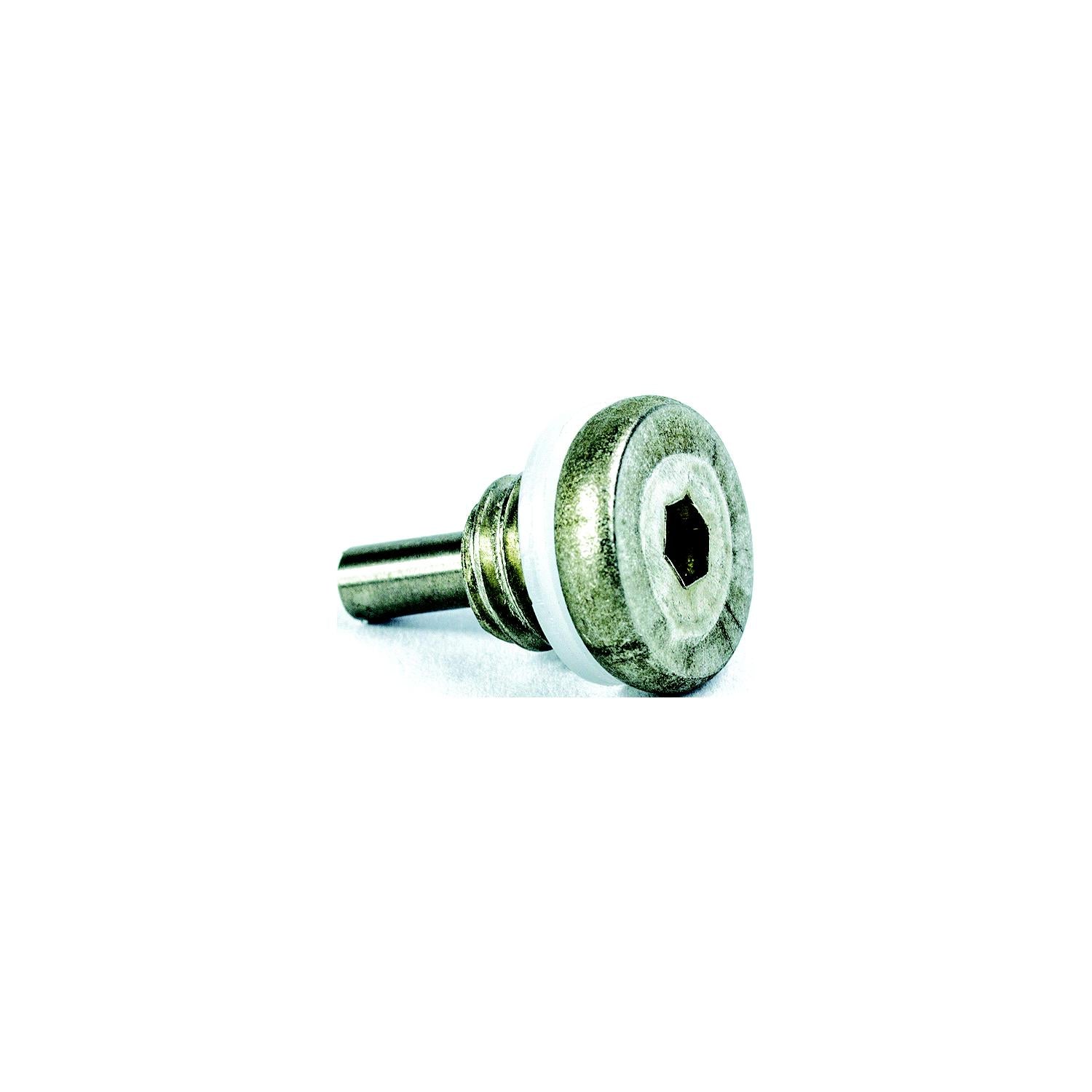 Sierra 18-4249 E-Tec Drain Screw W Magnet