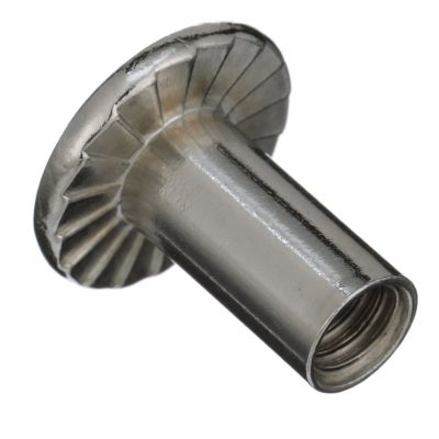Seachoice SC2963 Phillips Barrel Nut - Truss Head 1/4-20 x 5/8