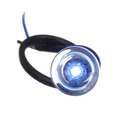 Seachoice 50-05491 05491 LED Mini Accent Livewell Light, Blue
