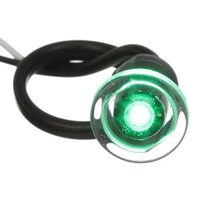 Seachoice 50-05511 05511 LED Mini Accent Livewell Light, Green