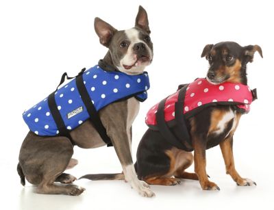 Seachoice DV-S-86280 86280 Dog Life Vest - Blue Polka Dot, Sm