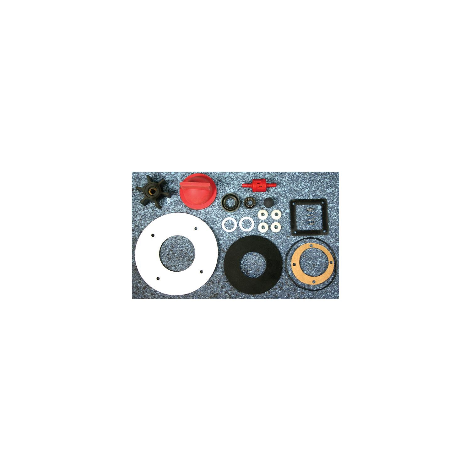 Raritan Engineering CSRK Overhaul Kit for Crown Cd Head