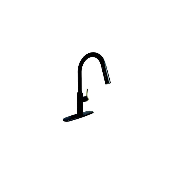 Valterra PF231780 800-PF231780 8" Premium Slimline Single Handle Pull Down Kitchen Faucet, Matte Black w/Gold