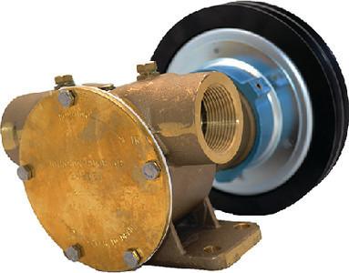 Johnson Pump 10-13022-96-1 Heavy Duty Electro-Magnetic Clutch Pump (U.S. Version